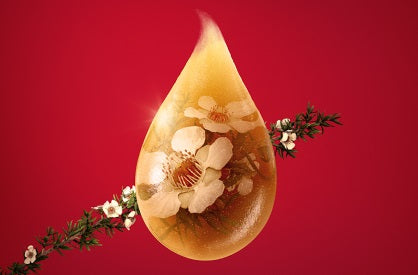 康維他UMF®麥蘆卡蜂蜜品質優良的秘訣