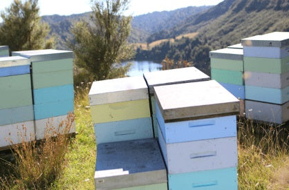 新西蘭政府為麥蘆卡蜂蜜訂標準指引